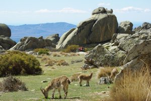 hiking madrid