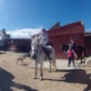 Horse Riding Day Trip