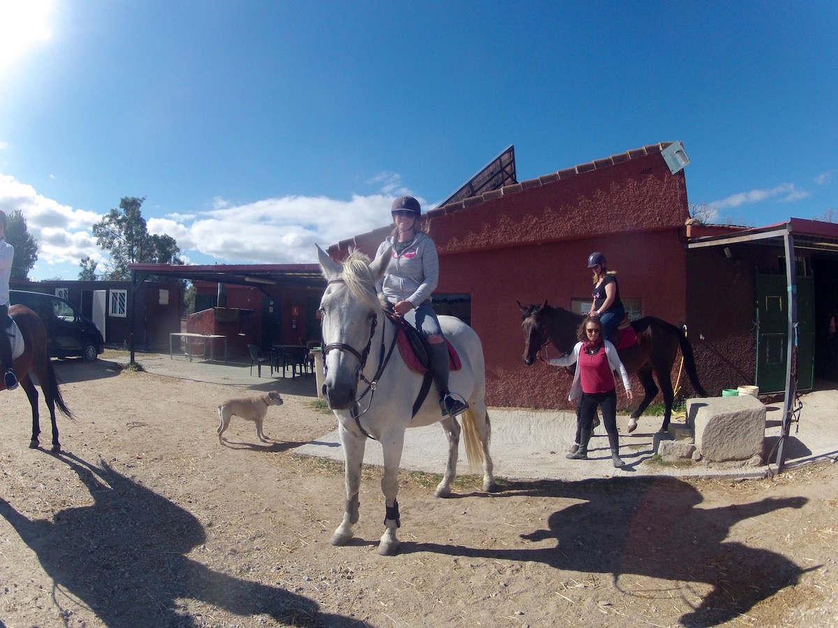 Horse Riding Day Trip