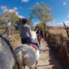 Horse Riding Day Trip