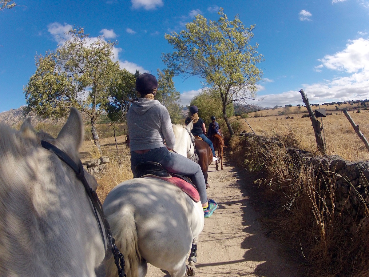 Horse Riding Day Trip