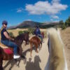 Horse Riding Day Trip