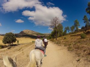 Horse Riding Day Trip