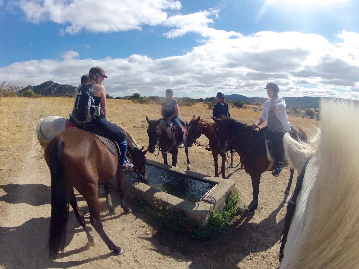 Horse Riding Day Trip