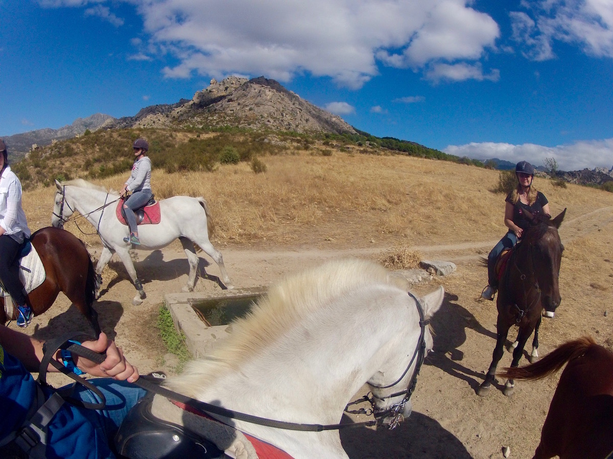 Horse Riding Day Trip