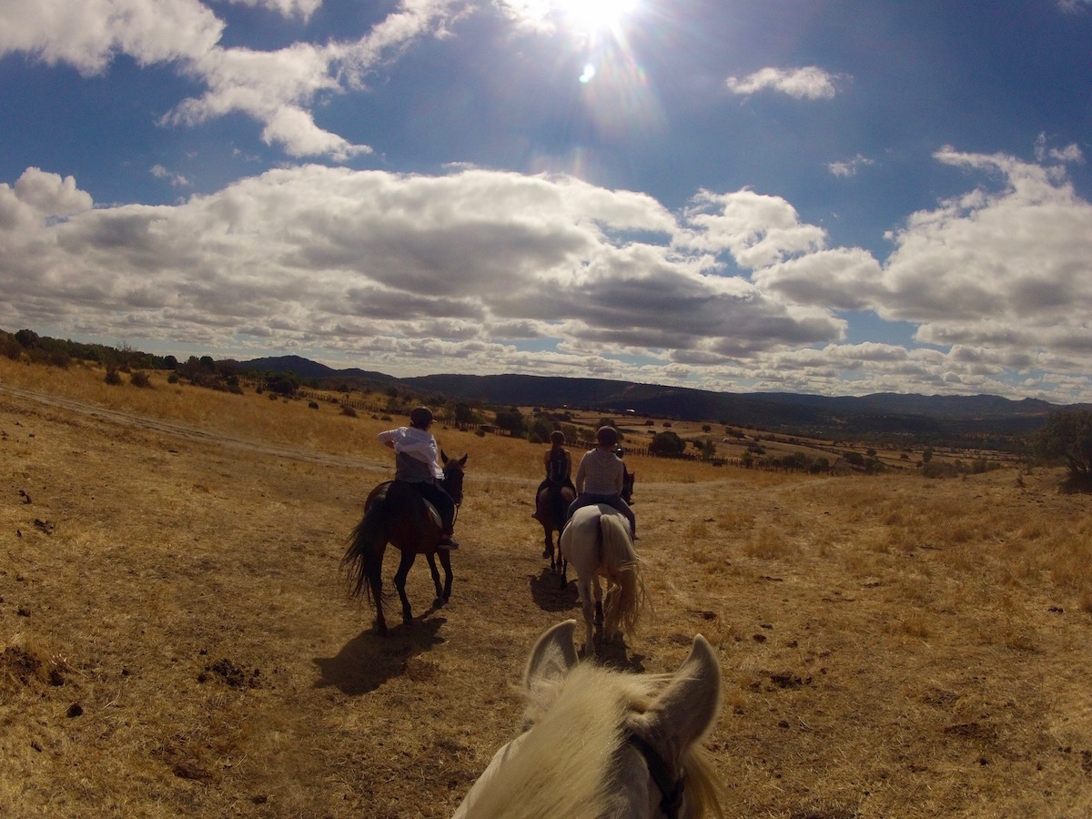 Horse Riding Day Trip